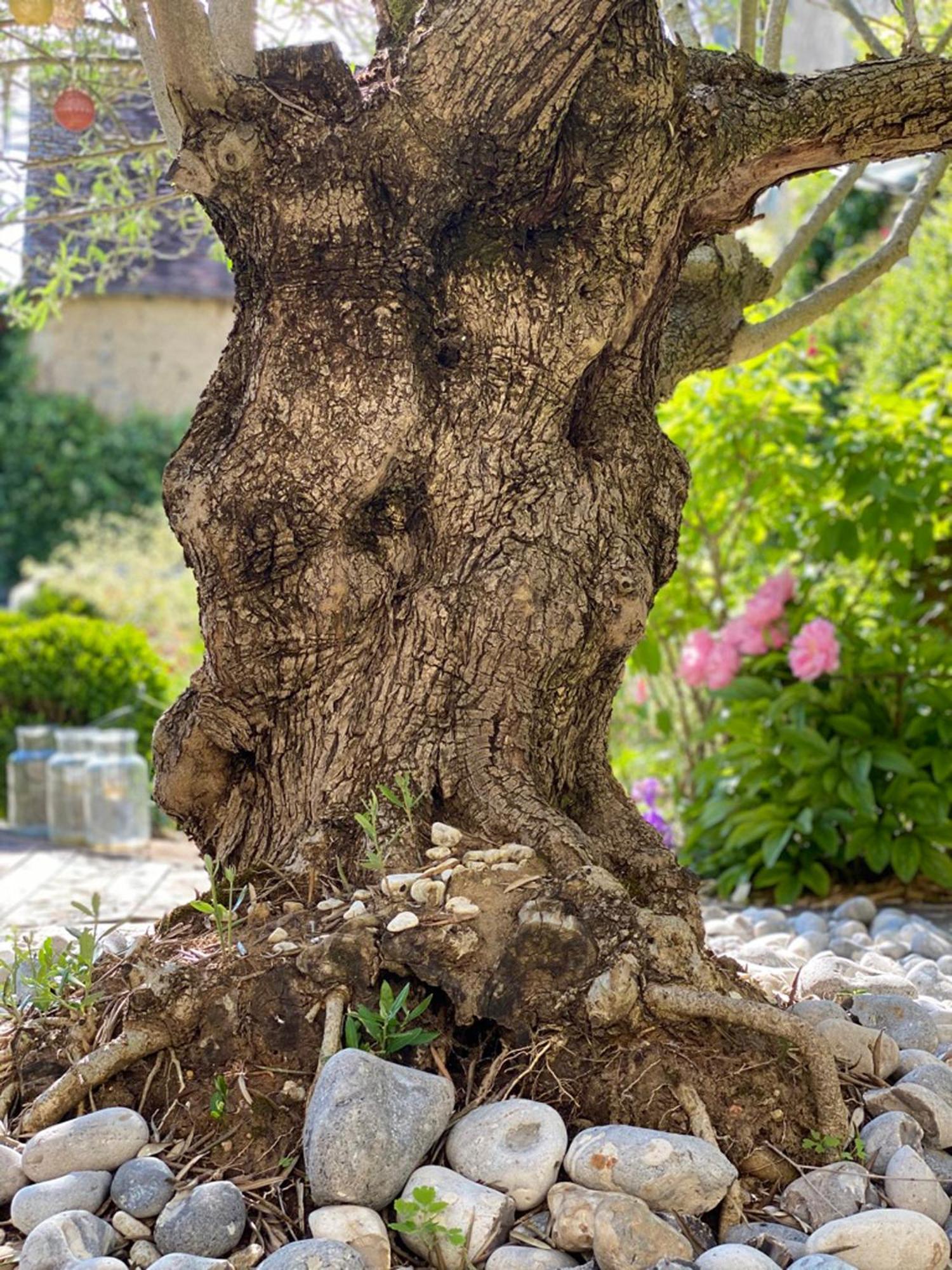 L'Ecole Des Garcons Bed & Breakfast Maigne Dış mekan fotoğraf