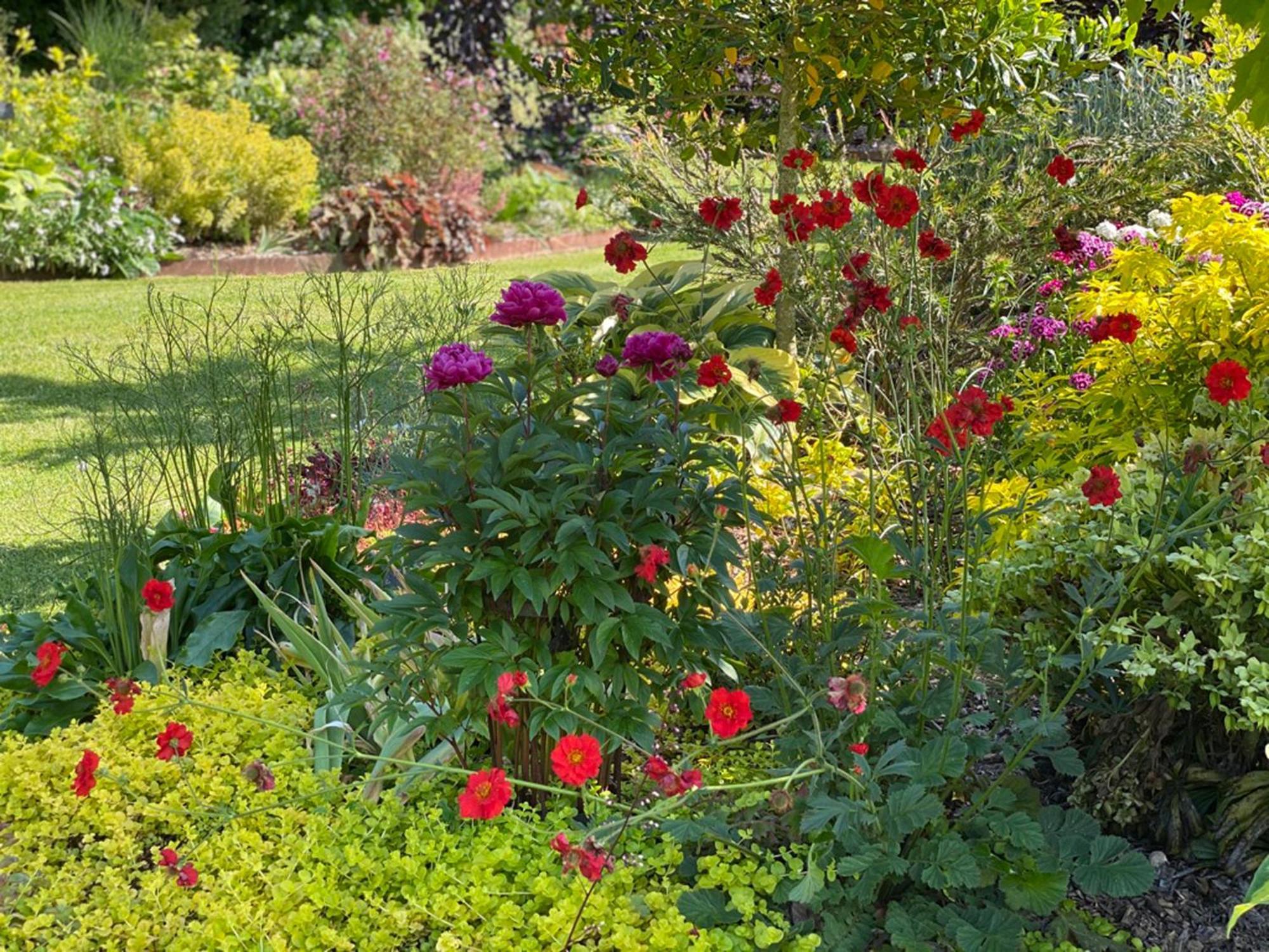 L'Ecole Des Garcons Bed & Breakfast Maigne Dış mekan fotoğraf