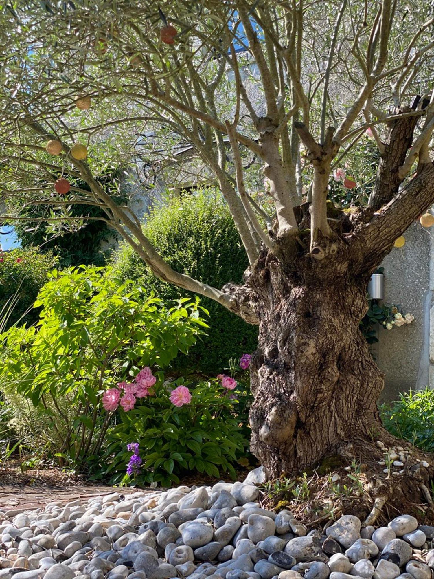 L'Ecole Des Garcons Bed & Breakfast Maigne Dış mekan fotoğraf